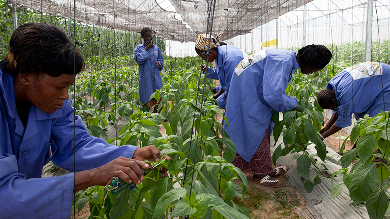 Shaping the Food System to Deliver Jobs