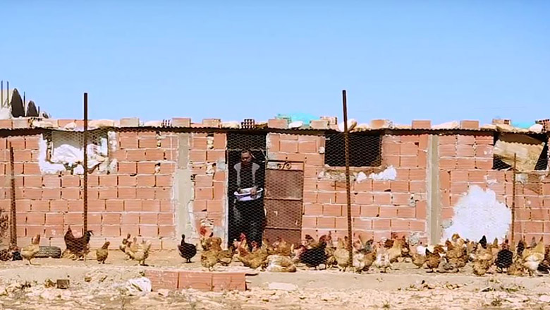 Chickens, Credit and Equipment Bring New Life to Tunisian Farms