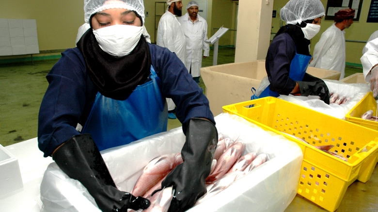 Modern fish sorting facilities provide women jobs in Oman. Photo: Banu Setlur | World Bank