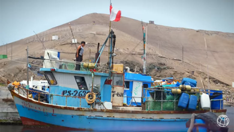En Perú, pescar menos anchoveta da resultados