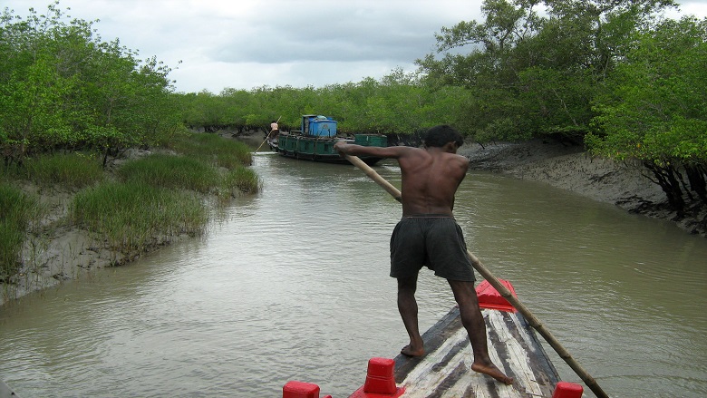 Increasing Salinity in a Changing Climate Likely to Alter 
