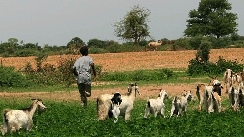 Sudan's Out of School Children