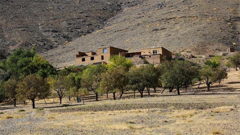 Horticulture Remains the Main Source of Livelihood in Central Afghanistan