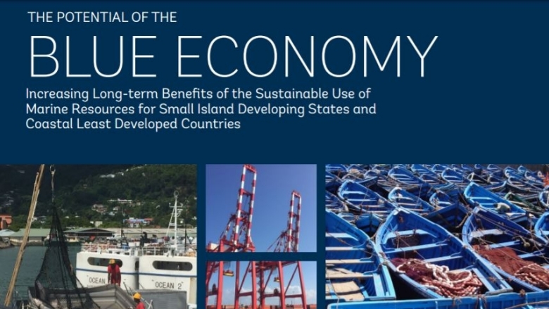 Cover Blue Economy Report