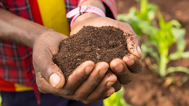 The World Bank, the World Agroforestry Centre, and the Central Statistical Agency of Ethiopia have conducted an unprecedented study of soil analysis in Ethiopia. Photo: Dasan Bobo/ World Bank