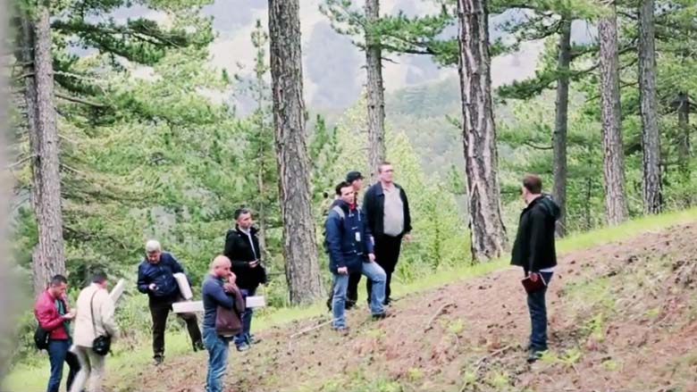 What is Happening to Albania's Forests? 