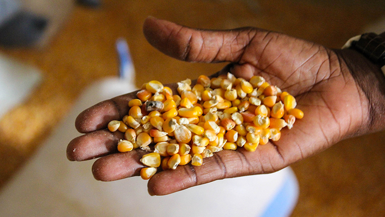 Image result for food security