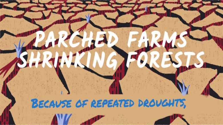 Parched Farms, Shrinking Forests