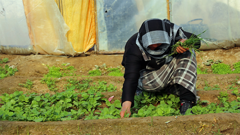 Helping Rural Afghan Women Make a Living