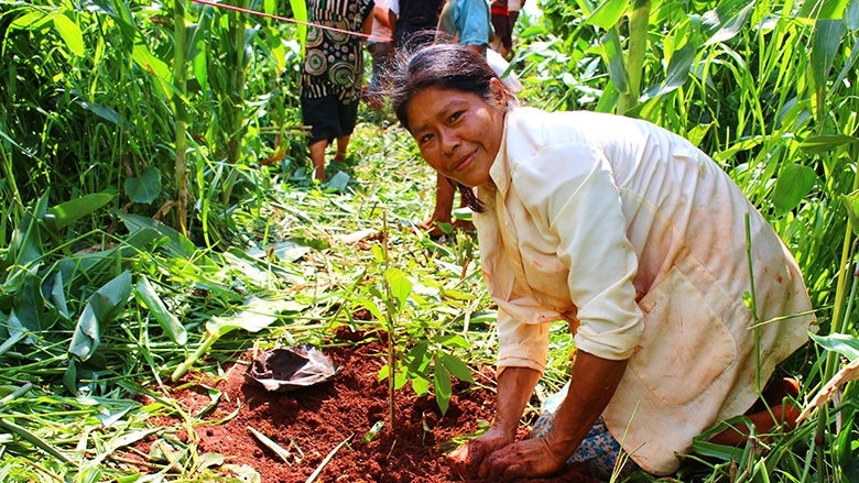 Protecting the Atlantic Forest: Creating a Biodiversity Corridor in Eastern  Paraguay