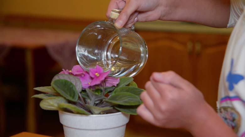 Ukraine: City of Lviv Gets 24/7 Water Supply