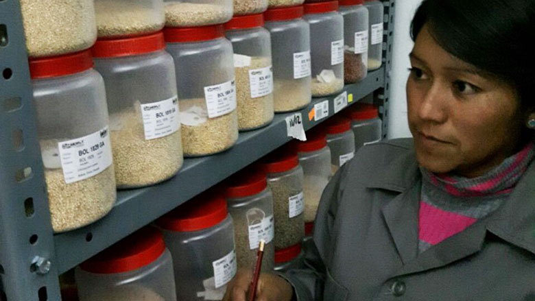  Nancy Huanca was engaged in the strategic research program for wheat and now, at the Genbank, is in charge of the largest collection of quinoa genotypes worldwide –more than 3,000 accessions for the superfood. © World Bank
