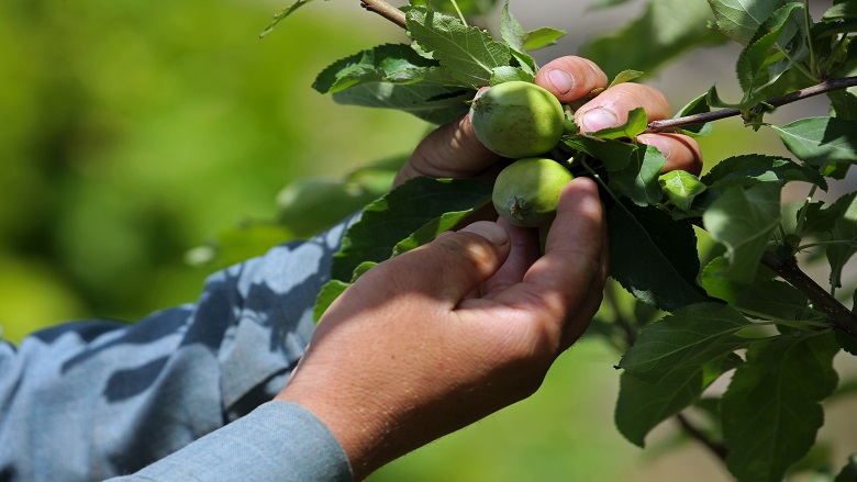 advantages of modern farming