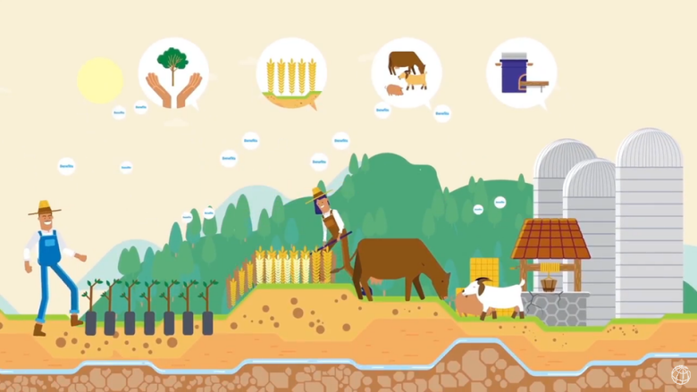Accounting for Carbon at Scale to Benefit Rural Communities
