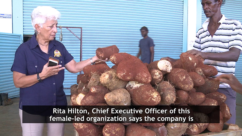 In Jamaica, opportunity is about… generating entrepreneurship and creating jobs