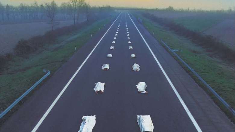 The High Toll of Traffic Injuries: Unacceptable and Preventable