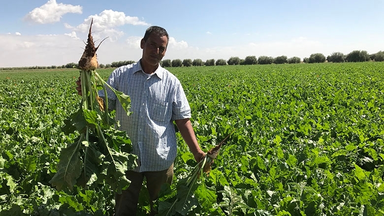 Irrigation in Morocco