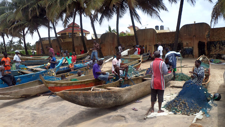 Africa Program for Fisheries