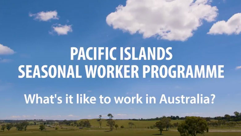  “I’ll build a new house for my family”: Pacific Seasonal Workers Share Their Story