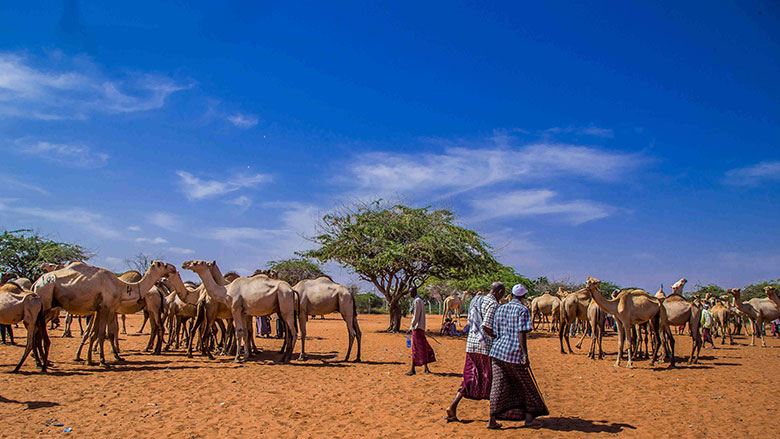 Káº¿t quáº£ hÃ¬nh áº£nh cho Kenya