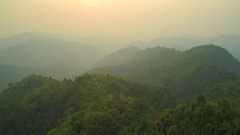 Supporting Sustainable Forest Management in Lao PDR