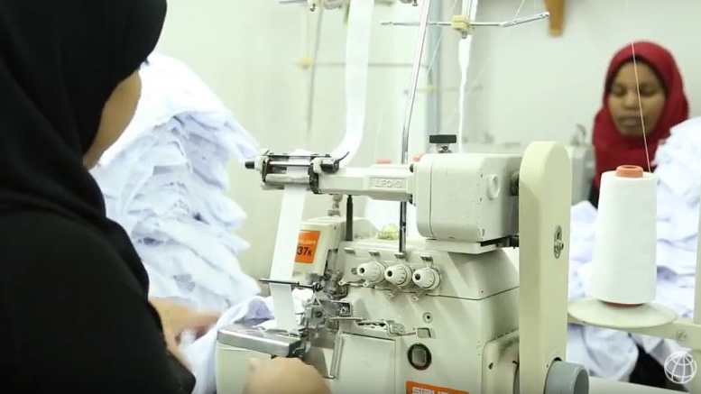 من عاملة إلى 40: كيف يسهم التمويل متناهي الصغر في خلق فرص العمل