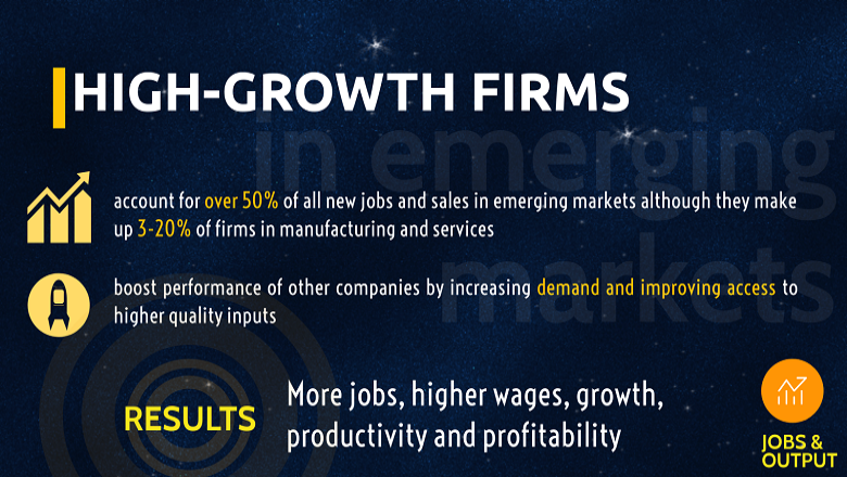 High-Growth Firms Infographic