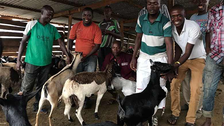 goat emergency responding goats flore bujumbura bank healthy february