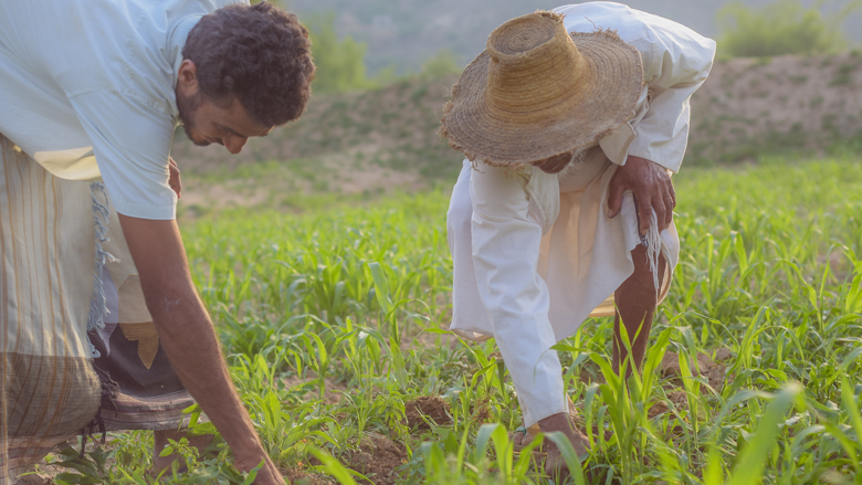 The World Bank Group’s new engagement strategy for Yemen