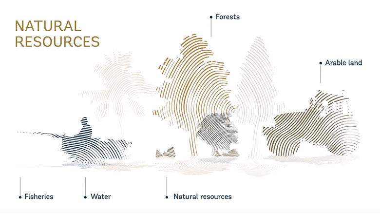 Empowering Rural Communities Towards Sustainable Forest Management