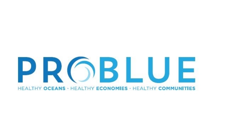 PROBLUE Logo