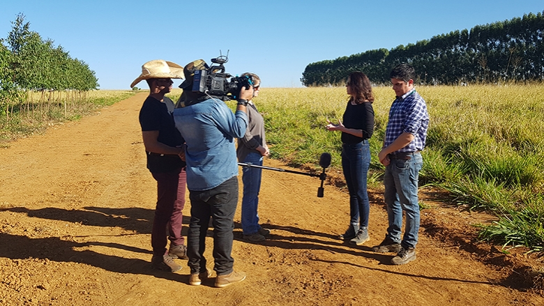 This is how Brazilian farmers are fighting climate change