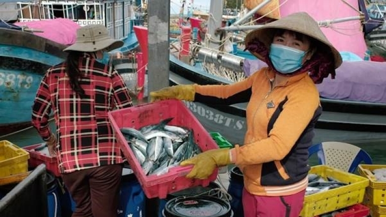  Taking Care of Vietnam’s Coast: More Resilience, Better Livelihoods 