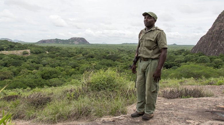 Quirimbas ranger on patrol, Mozambique