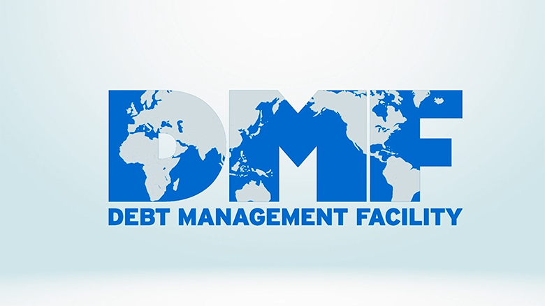 Debt Management Facility: Global Challenges, Tailored Solutions