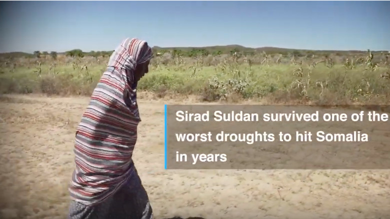 World Desertification Day
