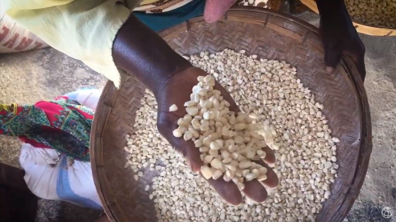 Making conservation profitable for small-scale farmers in Zambia