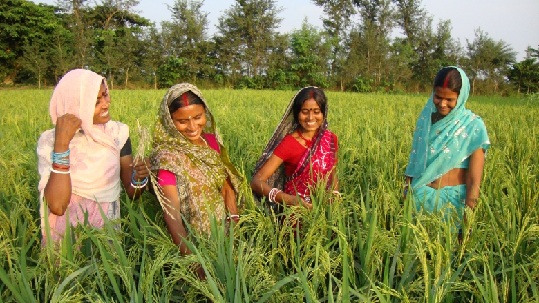 Working for Women in India