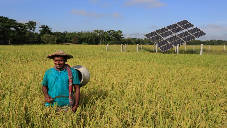 renewable energy in bangladesh essay