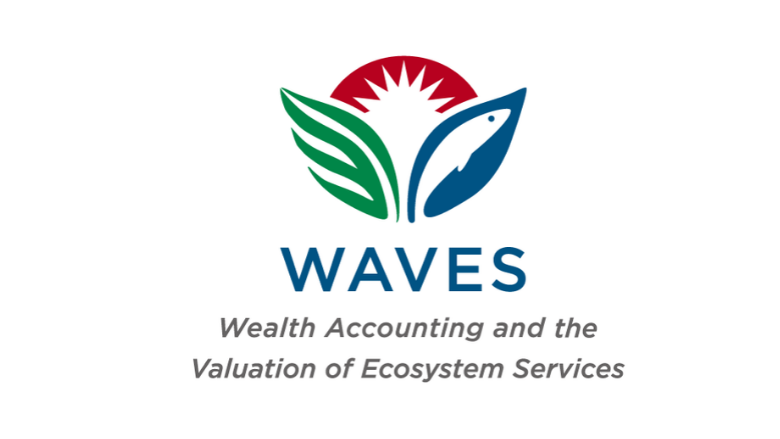 WAVES logo
