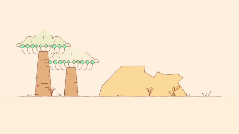 Connecting Africa through Broadband