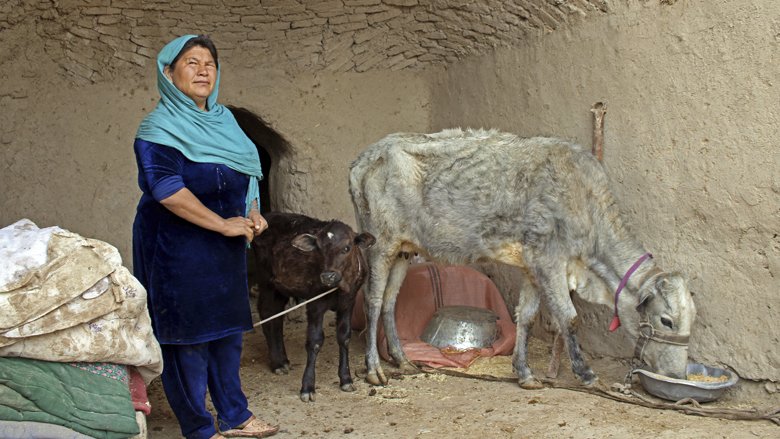 Poor Afghan families on their way to self-reliance