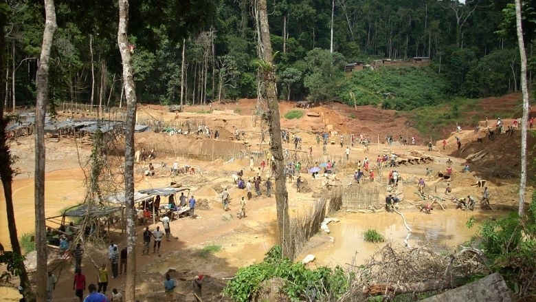 road construction in the forest, Gabon