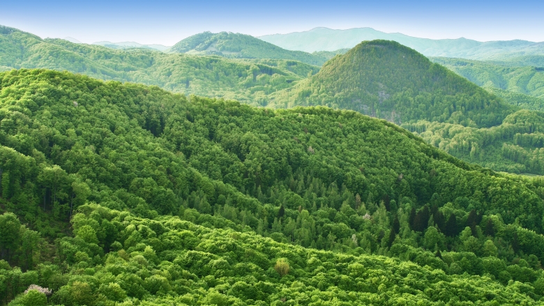 Hills and Forests seen form above, Bhutan. Photo credit: Mares Lucian/Shutterstock.com