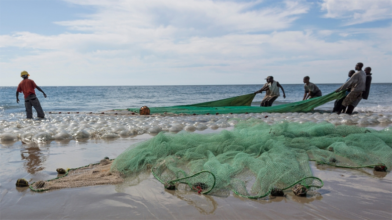 Fishermen along Mozambique's extensive coastline pull in their day's catch. Fisheries co-management holds substantial promise but can also be challenging. Credit: World Bank
