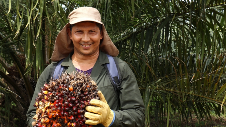 Sustainable Forest Landscapes Project in Colombia. Photo: Jessica Belmont/World Bank