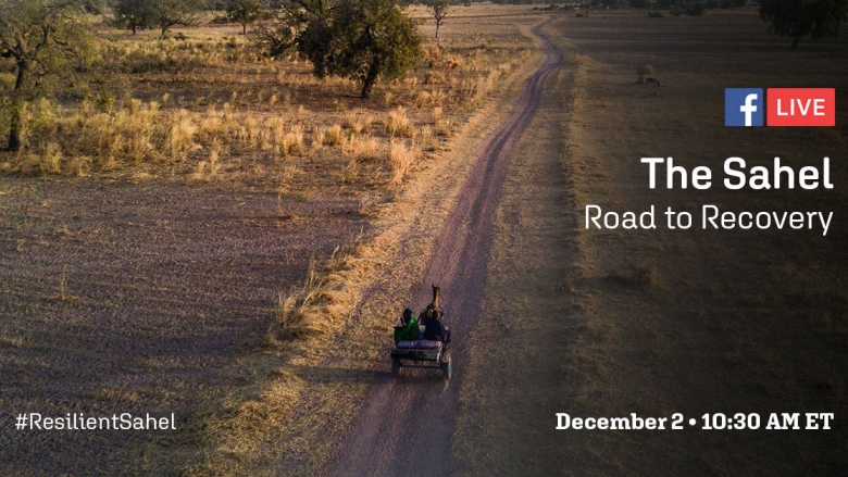The Sahel: Road to Recovery