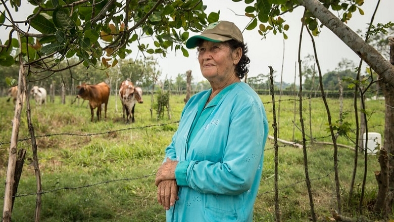 Mainstreaming Sustainable Cattle Ranching in Colombia