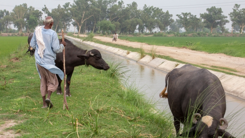 Safeguarding Animal, Human and Ecosystem Health: One Health at the World Bank Safeguarding Animal, Human and Ecosystem Health: One Health at the World Bank