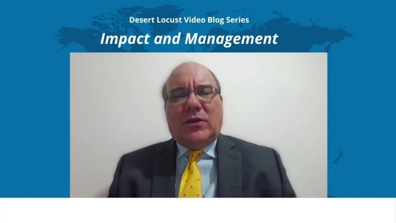Desert Locust Video Blog Series: Impact and Management